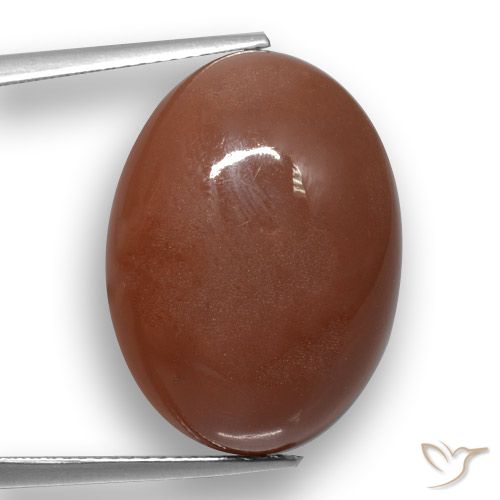 20.59ct طبيعي بنى متوسط حجر القمر, بيضوي, نصف شفاف