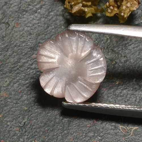 3.00ct طبيعي بنى كراميل فاتح حجر القمر, قص وردة, نصف شفاف