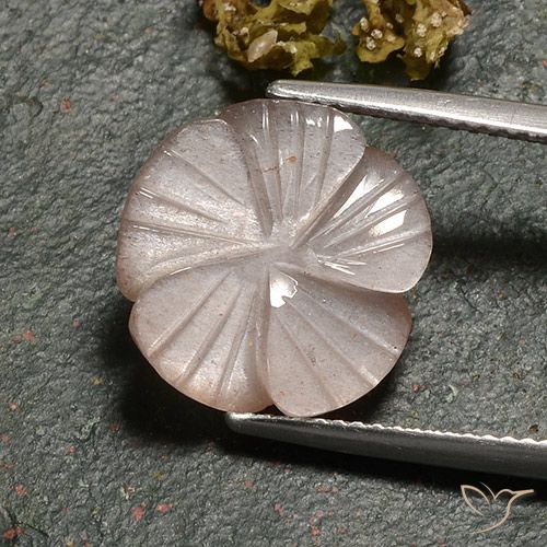 6.77ct طبيعي بنى كراميل فاتح حجر القمر, قص وردة, نصف شفاف