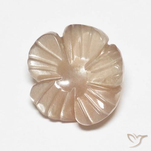 4.14ct طبيعي بنى فاتح جدا حجر القمر, قص وردة, نصف شفاف