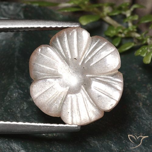5.24ct طبيعي بنى فاتح جدا حجر القمر, قص وردة, نصف شفاف