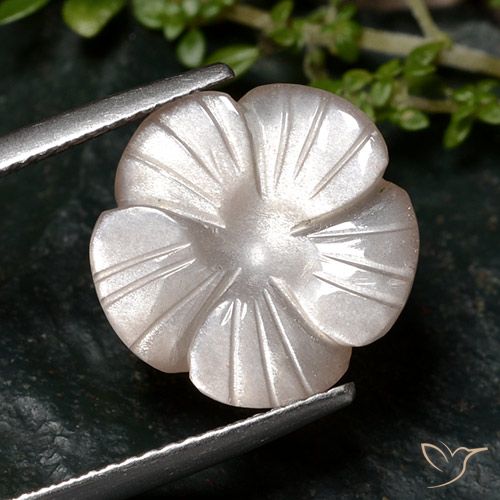 6.68ct طبيعي بنى فاتح جدا حجر القمر, قص وردة, نصف شفاف
