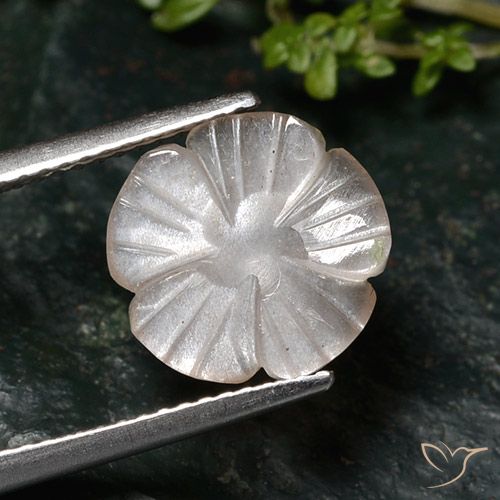 2.76ct طبيعي بنى فاتح جدا حجر القمر, قص وردة, نصف شفاف