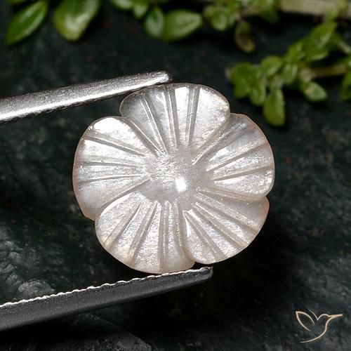 2.46ct طبيعي بنى الفول السودانى فاتح حجر القمر, قص وردة, نصف شفاف