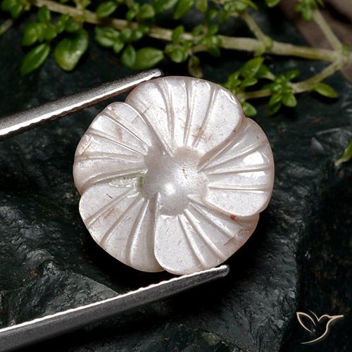 8.04ct طبيعي بنى باهت حجر القمر, قص وردة, نصف شفاف