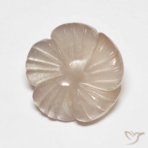 5.53ct طبيعي بنى كراميل فاتح حجر القمر, قص وردة, نصف شفاف