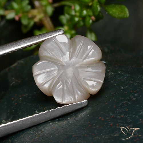 3.25ct طبيعي بنى فاتح جدا حجر القمر, قص وردة, نصف شفاف