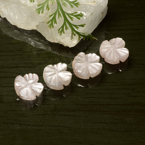 أحجار حجر القمر وردى فاتح جدا طبيعية، قص وردة، نصف شفاف، وزنها 5.06 قيراط