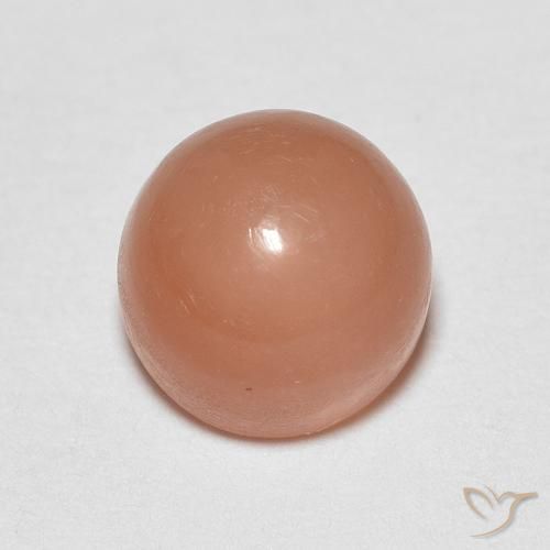 1.30ct طبيعي برتقالى كنتالوبى حجر القمر, دائري, نصف شفاف