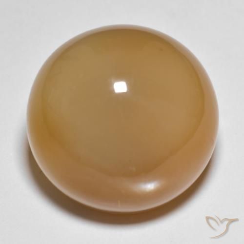 27.15ct طبيعي البني الفاتح حجر القمر, دائري, نصف شفاف