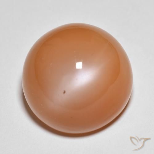 18.54ct طبيعي برتقالى محمر فاتح حجر القمر, دائري, نصف شفاف
