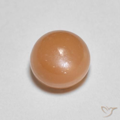 1.22ct طبيعي برتقالى مشمشى دافئ حجر القمر, دائري, نصف شفاف