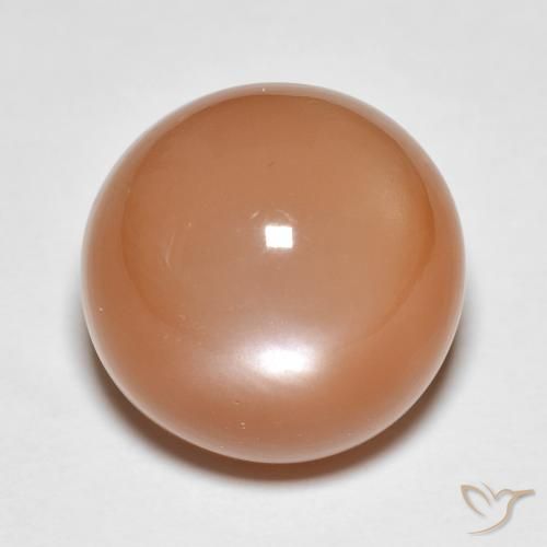 13.61ct طبيعي برتقالى كنتالوبى حجر القمر, دائري, نصف شفاف