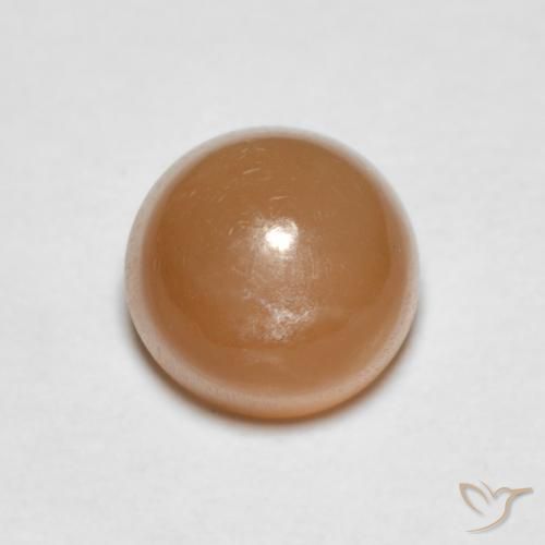1.19ct طبيعي برتقالى كنتالوبى حجر القمر, دائري, نصف شفاف