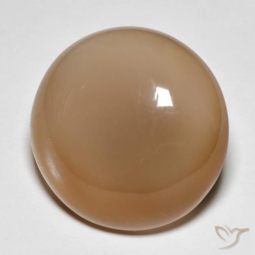 18.95ct طبيعي برتقالى كنتالوبى حجر القمر, دائري, نصف شفاف