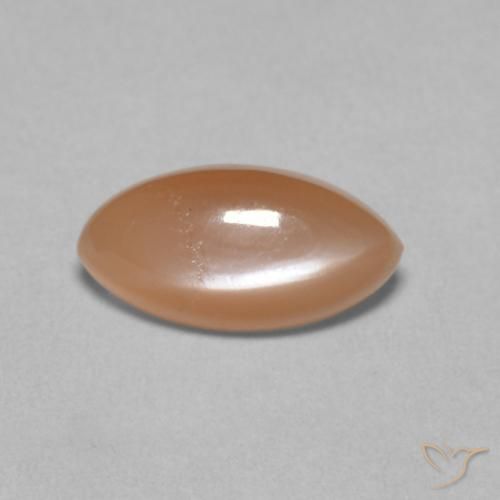 1.25ct طبيعي برتقالى كنتالوبى باهت حجر القمر, ماركيز, نصف شفاف