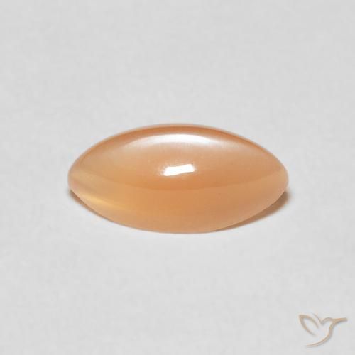 1.27ct طبيعي Medium Light-Orange حجر القمر, ماركيز, نصف شفاف