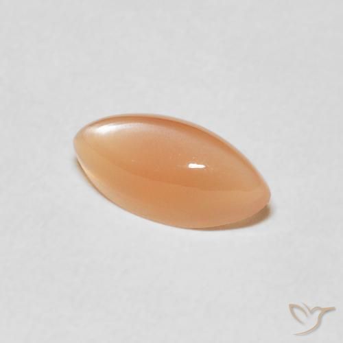 حجر القمر Medium Light-Orange طبيعي، ماركيز، 1.27 قيراط، نصف شفاف