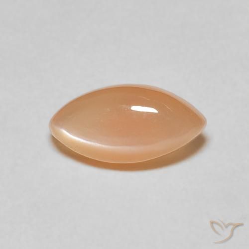 1.21ct طبيعي Medium Light-Orange حجر القمر, ماركيز, نصف شفاف