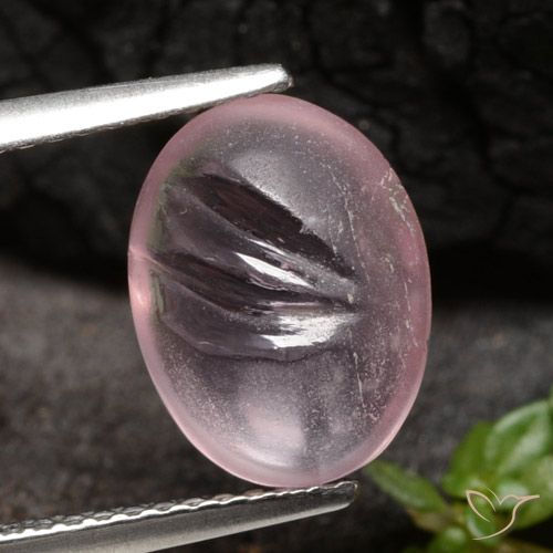 3.09ct طبيعي وردى متوسط مورغانيتي, بيضوي, شفاف