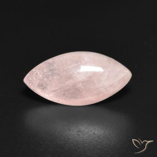 2.74ct طبيعي وردى مرجانى فاتح مورغانيتي, ماركيز, نصف شفاف
