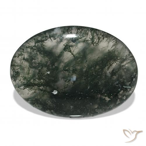 53.06ct متعدد الألوان عقيق الطحلب, بيضوي, نصف شفاف