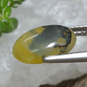 موس أوبال شجيرى أصفر طبيعي، قصة بيضاوى، 2.98 قيراط، نصف شفاف