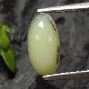 أوبال الطحلب أصفر متشجر طبيعي، قصة بيضاوى، 1.12 قيراط، نصف شفاف