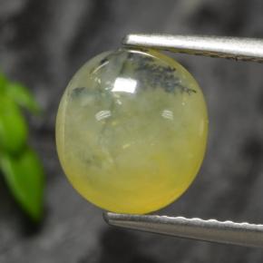 موس أوبال شجيرى أصفر طبيعي، قصة بيضاوى، 1.93 قيراط، نصف شفاف