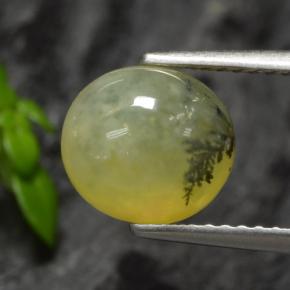 موس أوبال شجيرى أصفر طبيعي، قصة بيضاوى، 1.93 قيراط، نصف شفاف