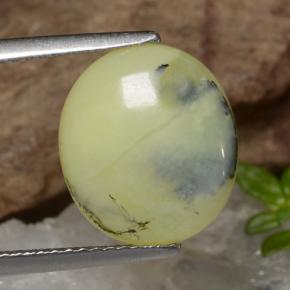 أوبال الطحلب شجيرى أصفر طبيعي، قصة بيضاوى، 3.18 قيراط، نصف شفاف