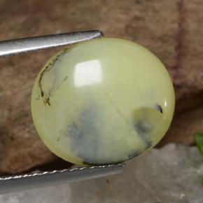 أوبال الطحلب شجيرى أصفر طبيعي، قصة بيضاوى، 3.18 قيراط، نصف شفاف