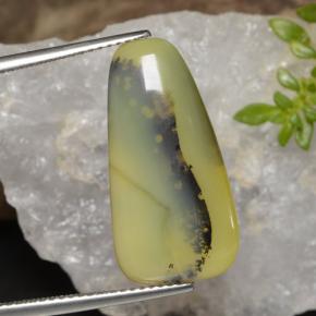 موس أوبال شجيرى أصفر طبيعي، شكل خيالي، 8.75 قيراط، نصف شفاف