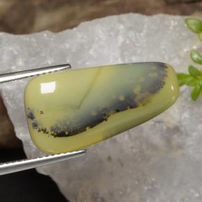 موس أوبال شجيرى أصفر طبيعي، شكل خيالي، 8.75 قيراط، نصف شفاف