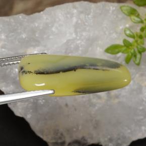 موس أوبال شجيرى أصفر طبيعي، شكل خيالي، 8.75 قيراط، نصف شفاف