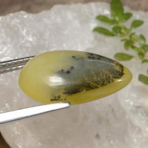 موس أوبال شجيرى أصفر طبيعي، شكل الكمثرى، 4.60 قيراط، نصف شفاف