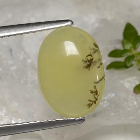 موس أوبال شجيرى أصفر طبيعي، قصة بيضاوى، 2.39 قيراط، نصف شفاف