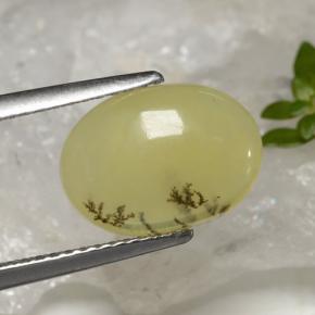 موس أوبال شجيرى أصفر طبيعي، قصة بيضاوى، 2.39 قيراط، نصف شفاف