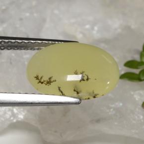 موس أوبال شجيرى أصفر طبيعي، قصة بيضاوى، 2.39 قيراط، نصف شفاف