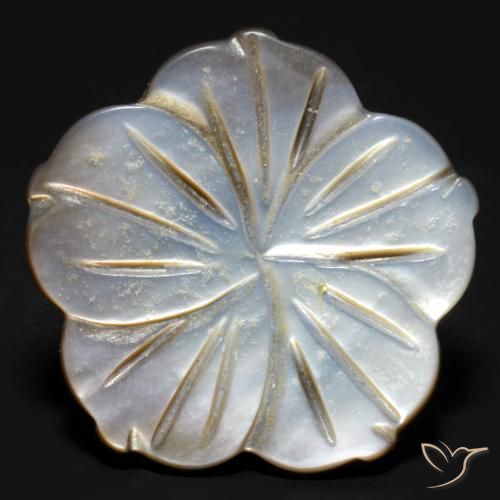 14.21ct طبيعي مدخن أم لؤلؤة, قص وردة, غير شفاف