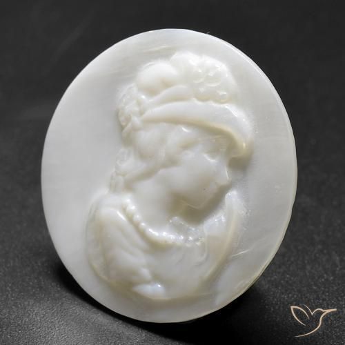 10.14ct طبيعي أبيض لؤلؤى أم لؤلؤة, دائري, غير شفاف
