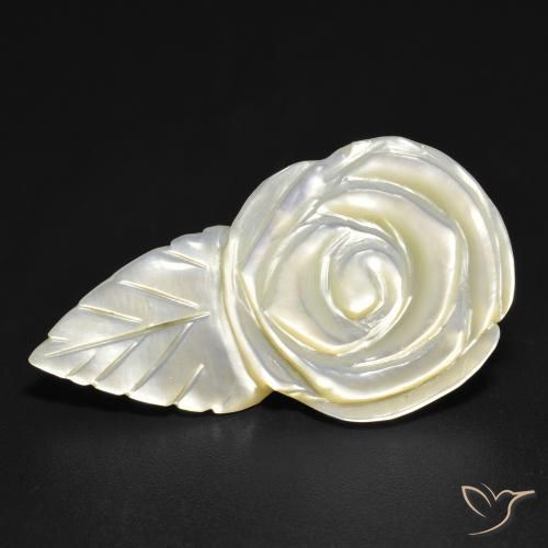 14.35ct طبيعي أبيض لؤلؤى أم لؤلؤة, قص وردة, غير شفاف