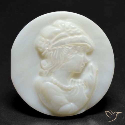 14.15ct طبيعي أبيض لؤلؤى أم لؤلؤة, دائري, غير شفاف