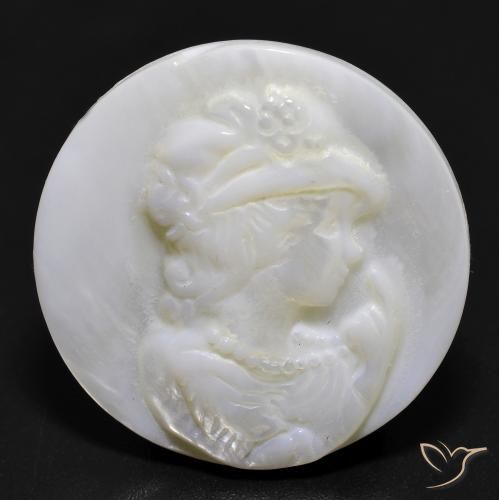 16.81ct طبيعي أبيض لؤلؤى أم لؤلؤة, دائري, غير شفاف