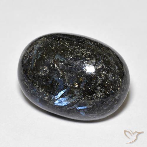 20.81ct طبيعي أسود النوم ميت, بيضوي, غير شفاف