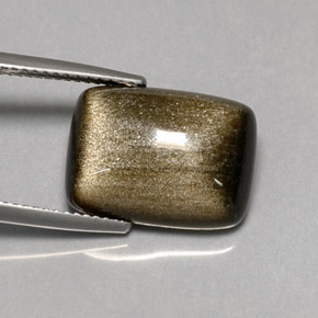 سبج أو أوبسيديان ذهب الشين طبيعي، قطع وسادة، 7.58 قيراط، غير شفاف