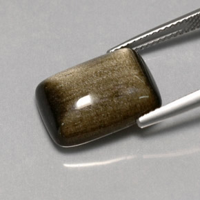 سبج أو أوبسيديان ذهب الشين طبيعي، قطع وسادة، 7.58 قيراط، غير شفاف