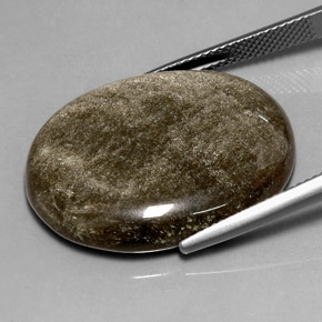سبج أو أوبسيديان ذهب الشين طبيعي، قصة بيضاوى، 23.77 قيراط، غير شفاف
