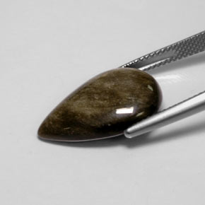 سبج أو أوبسيديان ذهب الشين طبيعي، شكل الكمثرى، 7.12 قيراط، غير شفاف