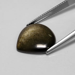 سبج أو أوبسيديان ذهب الشين طبيعي، شكل الكمثرى، 7.13 قيراط، غير شفاف